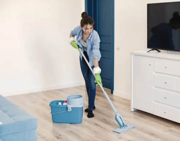 Femme de ménage Berchères-les-Pierres